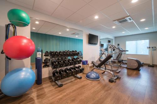 a fitness room with a gym with a lot of equipment at Holiday Inn Express & Suites Columbia-I-26 @ Harbison Blvd by IHG in Columbia
