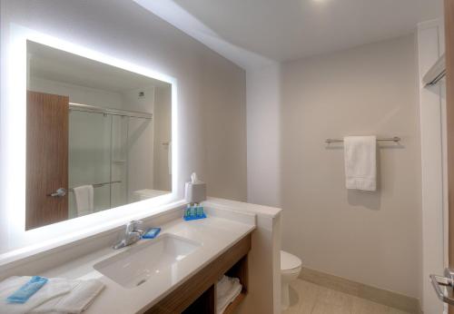 Ванная комната в Holiday Inn Express & Suites - Fort Mill, an IHG Hotel