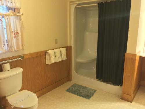 y baño con aseo y ducha con cortina de ducha. en Cherry Blossom #11, en Pigeon Forge