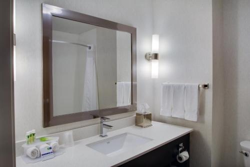 Holiday Inn Express Sidney by IHGにあるバスルーム