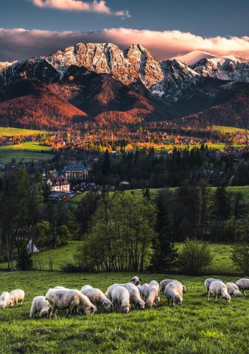 Villa jumper widok na całe Tatry