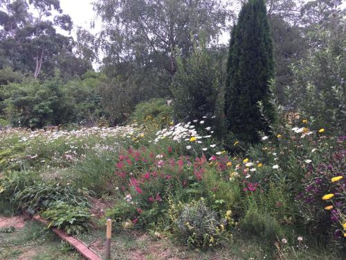 a garden with a bunch of flowers at Oaktree Guest House in Narbethong