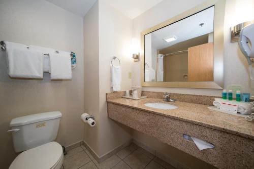 Phòng tắm tại Holiday Inn Express Vicksburg, an IHG Hotel
