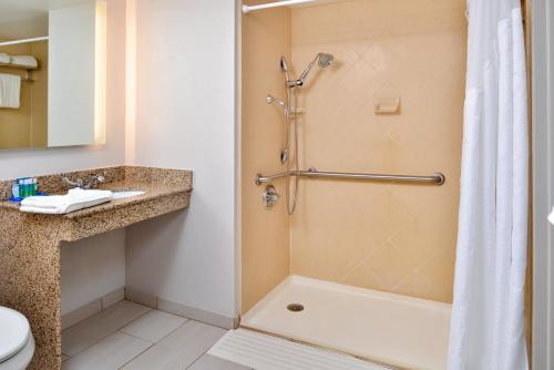 La salle de bains est pourvue d'une douche, de toilettes et d'un lavabo. dans l'établissement Holiday Inn Express & Suites Buffalo Downtown, an IHG Hotel, à Buffalo