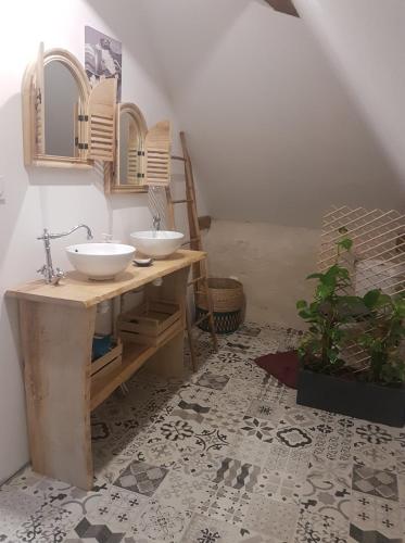 une salle de bains avec deux lavabos et une plante en pot dans l'établissement Gîte du Moulin de Barutel Espace Spa Bien-être en supplément, à Mamers