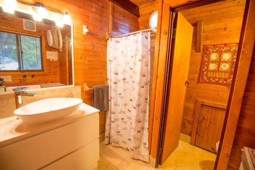 A bathroom at Green Leaves Cabin