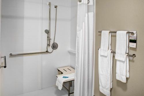 a bathroom with a shower and white towels at Holiday Inn Express & Suites Coldwater, an IHG Hotel in Coldwater