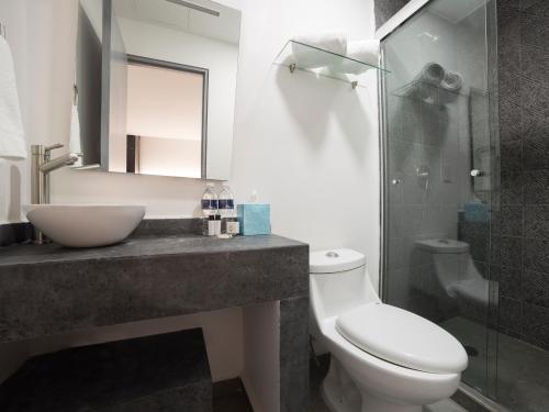a bathroom with a toilet and a sink and a shower at Suites Arboleda 215 in Mexico City