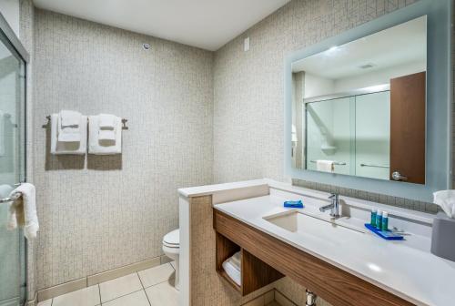 a bathroom with a sink and a toilet and a mirror at Holiday Inn Express & Suites Platteville by IHG in Platteville