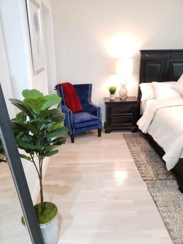 a bedroom with a bed and a potted plant at Spacious & Bright home In Bloomingdale/ Truxton DC in Washington