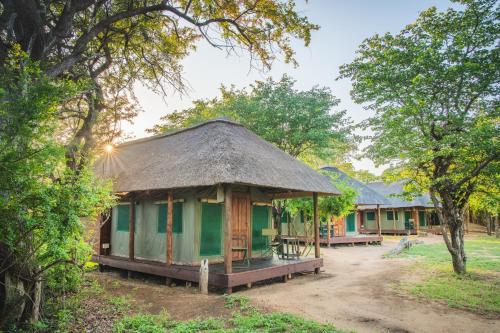 Shindzela Tented Camp, Timbavati Game Reserve – Updated 2023 Prices