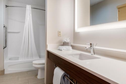 Ванна кімната в Holiday Inn Express & Suites Harrison, an IHG Hotel