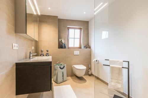 uma casa de banho com um WC e um lavatório em RH-Appartements em Grenzach-Wyhlen