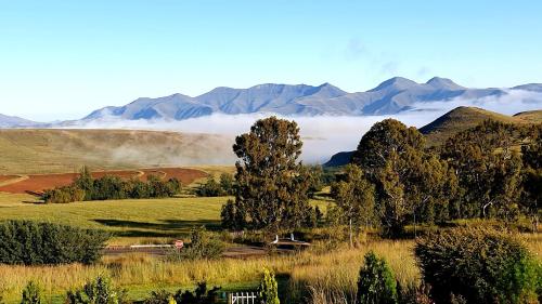 un arbre dans un champ avec des montagnes en arrière-plan dans l'établissement Thaba Lapeng Mountain Escape, à Clarens