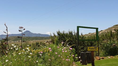 Paisaje cerca de este hostal o pensión