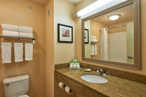 a bathroom with a toilet, sink and mirror at Holiday Inn Express & Suites El Paso Airport, an IHG Hotel in El Paso