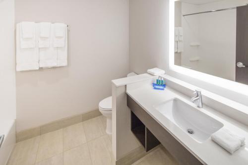 a white bathroom with a sink and a toilet at Holiday Inn Express & Suites - Indianapolis NW - Zionsville, an IHG Hotel in Whitestown