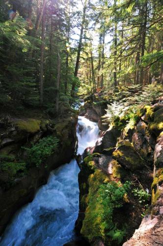 a stream in the middle of a forest at Holiday Inn Express Hotel & Suites Kalispell by IHG in Kalispell