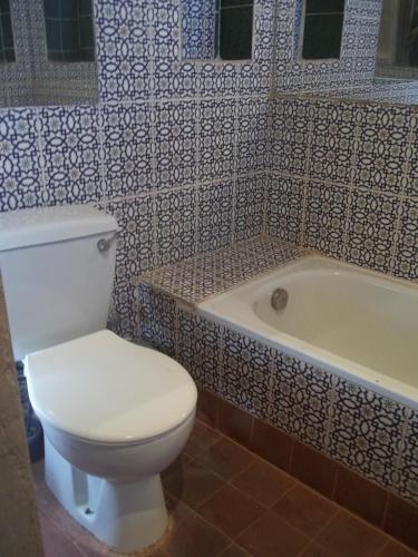 a bathroom with a toilet and a bath tub at Nour El Balad in Luxor