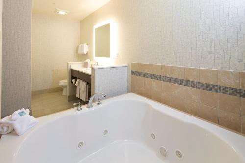 a large bath tub in a bathroom with a sink at Holiday Inn Express & Suites La Porte by IHG in LaPorte