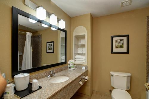 a bathroom with a sink and a toilet and a mirror at Holiday Inn Express & Suites Midwest City, an IHG Hotel in Midwest City