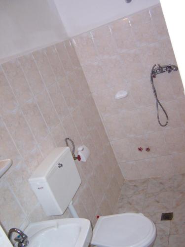 a bathroom with a toilet and a shower at Pensiunea Ruxandra in Venus