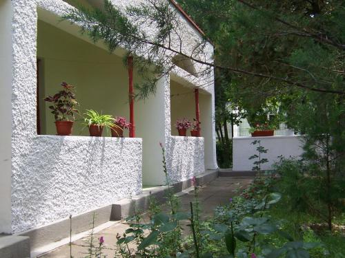 a white house with potted plants on the walls at Pensiunea Ruxandra in Venus