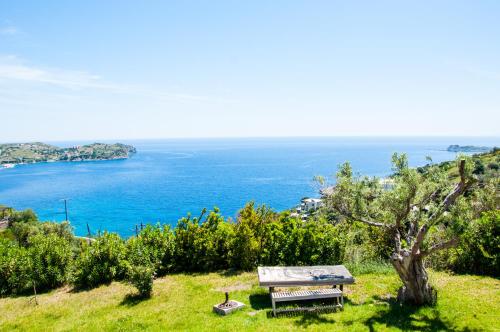a bench sitting on a hill overlooking the ocean at Villa Von Sophia / THE HOUSE in Áyioi Apóstoloi