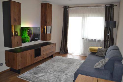 ein Wohnzimmer mit einem blauen Sofa und einem Flachbild-TV in der Unterkunft Business Wohnung zur Kurzzeitmiete für Geschäftsreisende in Karlsruhe