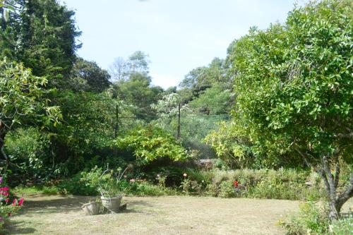 a garden with flowers and trees in the background at Samri Holiday Bunglow in Nuwara Eliya