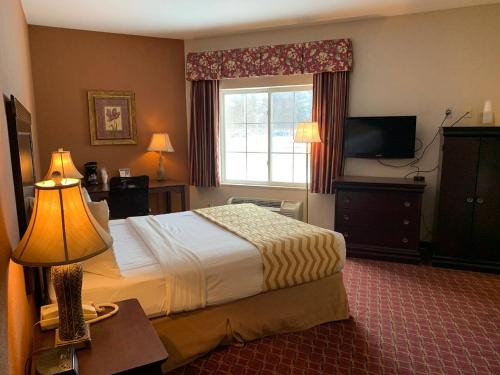 a hotel room with a bed and a window at Super 8 by Wyndham Albany in Albany