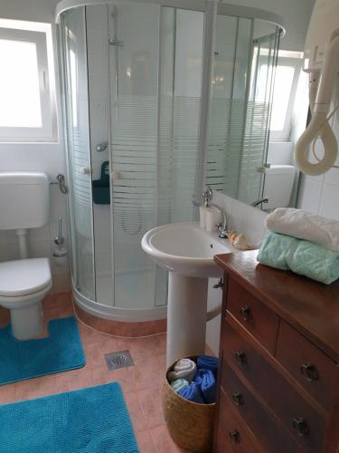 a bathroom with a shower and a sink and a toilet at Apartments Boris in Poreč