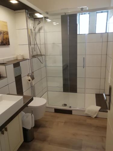 a bathroom with a toilet and a glass shower at Waldhotel Forsthaus Remstecken in Koblenz