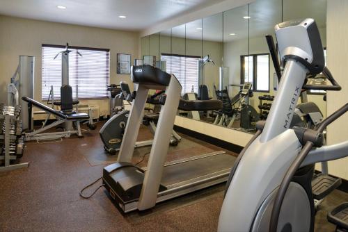 a gym with several tread machines and a mirror at Holiday Inn Express Hotel & Suites Cherry Hills by IHG in Omaha