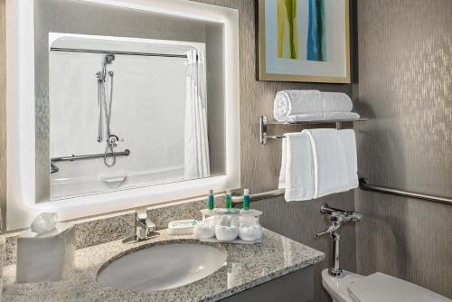 a bathroom with a sink and a mirror at Holiday Inn Express Hotel and Suites Fort Worth/I-20 in Fort Worth