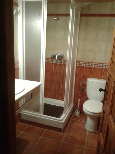 a bathroom with a shower and a toilet and a sink at Apartamentos Turísticos Las Saladas in Chiprana