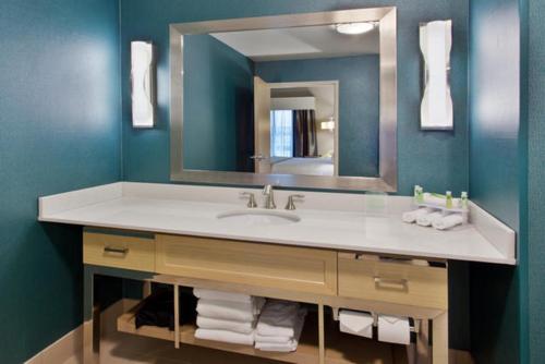 W łazience znajduje się umywalka i lustro. w obiekcie Holiday Inn Express & Suites Warner Robins North West, an IHG Hotel w mieście Warner Robins