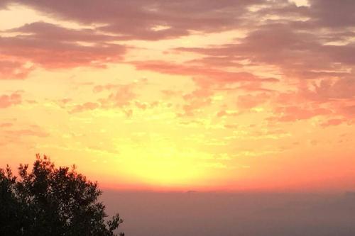 a sunset with a tree in the foreground at Casa Pierina in Anacapri
