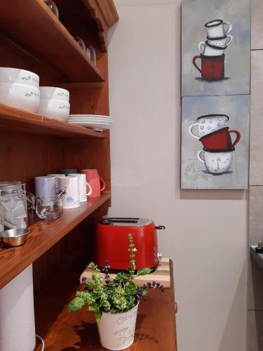a kitchen with a shelf with pots and a plant at Goedehoop in Somerset West