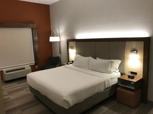 Holiday Inn Express Orlando - South Davenport by IHG photo 9