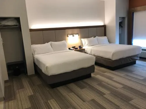 Holiday Inn Express Orlando - South Davenport by IHG photo 24