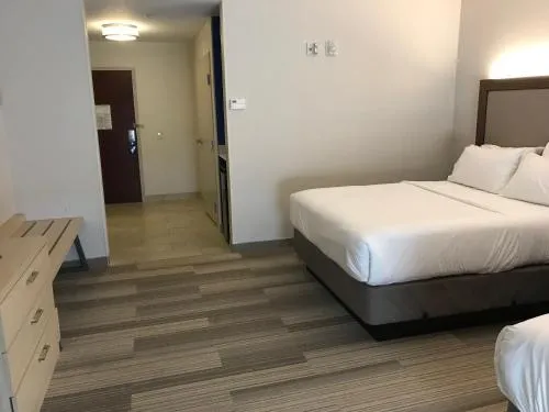 Holiday Inn Express Orlando - South Davenport by IHG photo 14