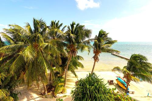 a beach with palm trees and a boat on the water at Seaside Villas in Caye Caulker