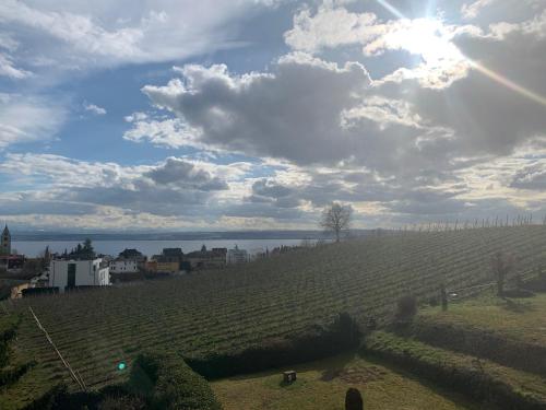 a view of a field with the sun in the sky at Seeblick Meersburg in Meersburg