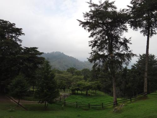 a view of a field with trees and a fence at Condominio Hacienda Shangrila in San Francisco