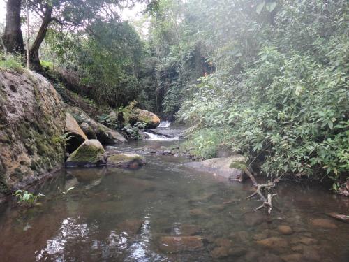 a stream in the middle of a forest with a river at Condominio Hacienda Shangrila in San Francisco