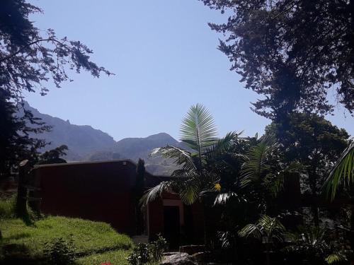 a house with a palm tree and mountains in the background at Condominio Hacienda Shangrila in San Francisco