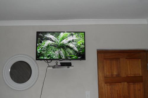 einen Flachbild-TV, der an einer Wand hängt in der Unterkunft Rosy Palm Sunrise in Upington