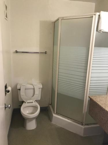 a bathroom with a toilet and a shower at Travel Inn in Greensboro