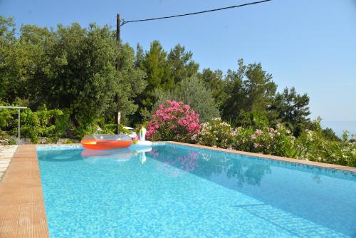 een zwembad met een rode boot in een tuin bij Sarakiniko villa with private pool in Póros